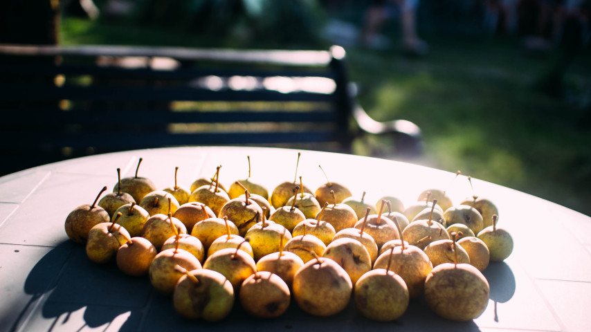 Jauniešu vakari 2024, rudens